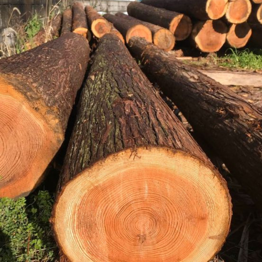 empresa de madera Cantabria